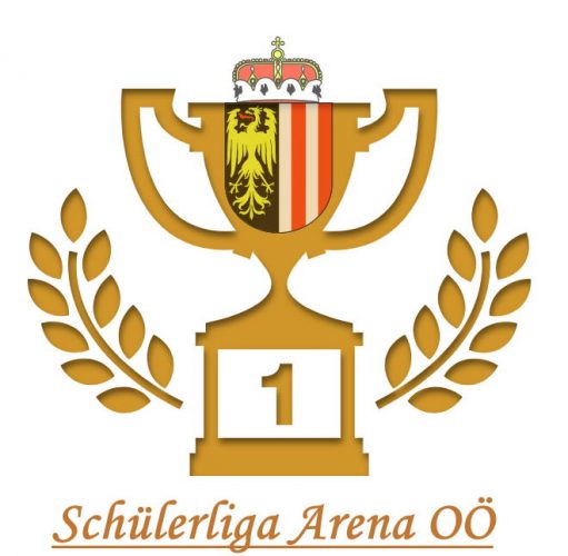 fe06ee95c4f86e31edd533e1dffb6e323624fbbe_2_1590433317_4307-SchuelerligaArena.jpg