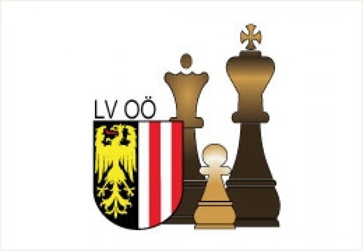 d45d7814f76a242e570fb49feac2a0c5e48bb8bb_2_1603286418_8915-logo_LV_HP.jpg